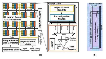 上海交大王國興團隊研發出高能效脈沖神經網絡加速器芯片，為類腦計算與邊緣智能注入新動能